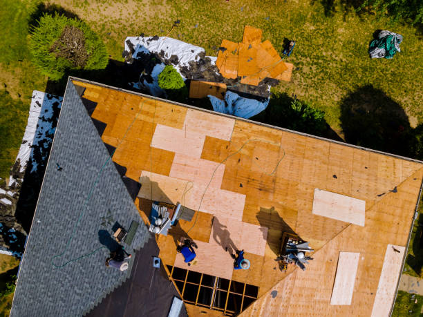 Quick and Trustworthy Emergency Roof Repair Services in West Park, CA