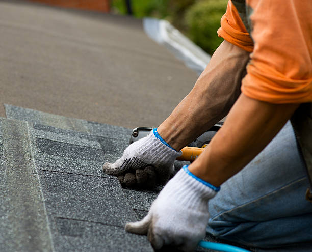 Best Roof Gutter Cleaning  in West Park, CA